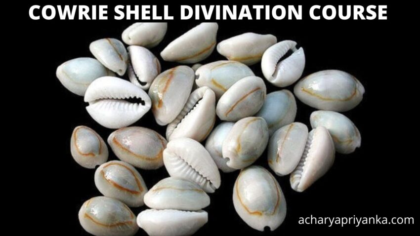 COWRIE SHELL DIVINATION COURSE
