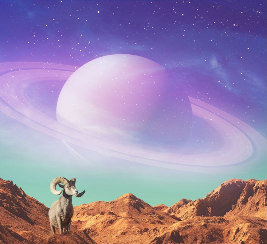 10th House in Astrology