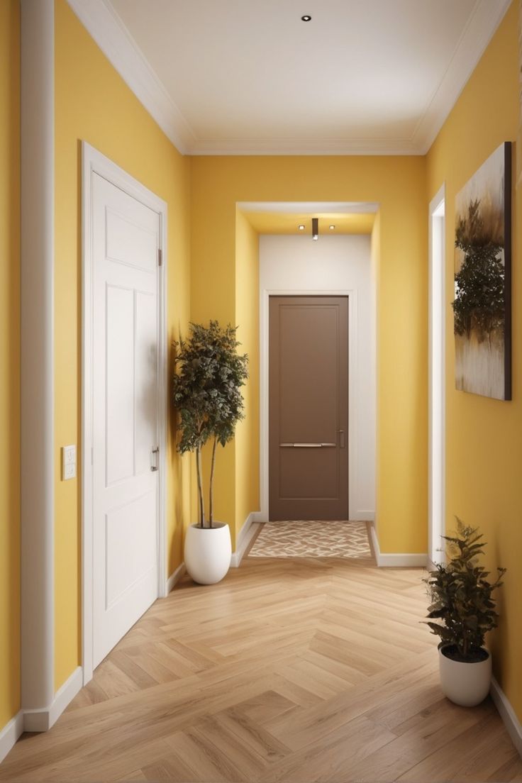 Feng Shui clean bright entrance