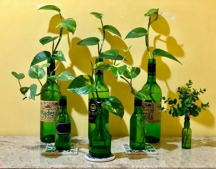 Vaastu tips for wealth and prosperity with practical remedies