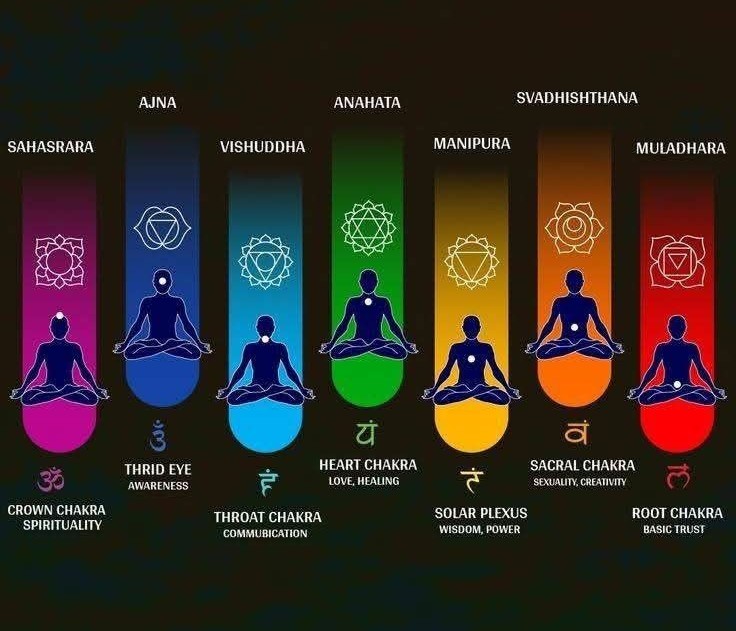 Learn Chakras Basic & Advanced Course with Acharya Priyanka